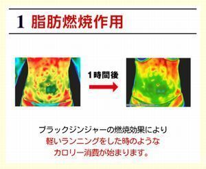 1.脂肪燃焼作用.jpg