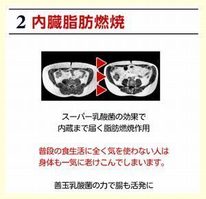 2.内臓脂肪燃焼.jpg