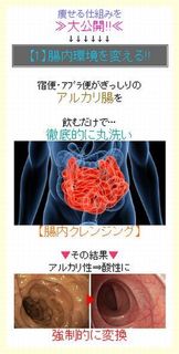 【1】腸内環境を変える!!.jpg