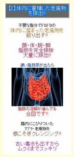 【2】体内に蓄積した老廃物を排出!!.jpg