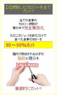 【3】摂取したカロリーを全てカット!!.jpg
