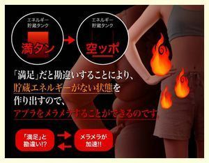 ぷよ肉めらめら.jpg