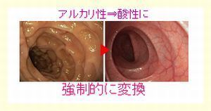 アルカリ性⇒酸性に.jpg