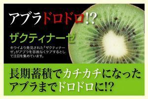 ザクティナーゼ.jpg