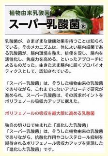 スーパー乳酸菌.jpg