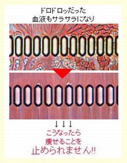 ドロドロッだった血液も.jpg