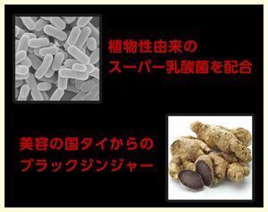 ブラックジンジャー、スーパー乳酸菌.jpg