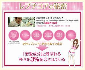 レプチコアの秘密.jpg