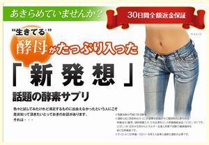 千年酵素販売ページ.jpg