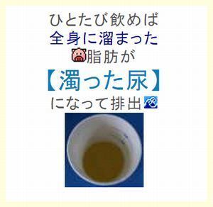 濁った尿?.jpg