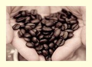 珈琲豆&グリーン・コーヒー.jpg