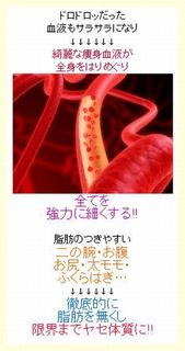綺麗な痩身血液が.jpg