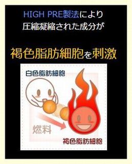 褐色細胞を刺激.jpg