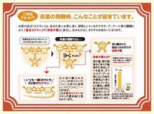 重合カテキン没食子酸.jpg